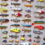 10 señuelos esenciales para la pesca en agua salada