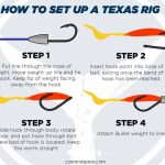 Carolina Rig contra Texas Rig: Cuándo usar y cómo pescar