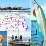 ¿Cuáles son los mejores lugares de pesca en el área de la bahía?