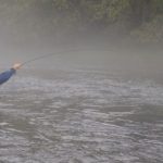 ¿Es bueno pescar después de la lluvia? ¡Hechos que deberías saber!