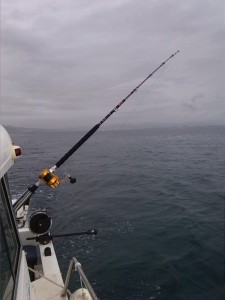 pescando con profundizador