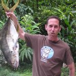 Jack Crevalle (Hipopótamos de Caranx) Consejos de pesca: Cómo atrapar, cocinar y comer