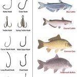 La Guía completa de tamaños y tipos de anzuelos de pesca