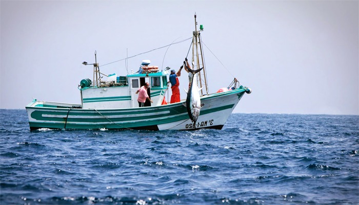 Los 11 Mejores Barcos Para La Pesca De Bajura Revisado Mundo Pesca Net Hot Sex Picture