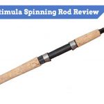 Shimano Stimula 2-Piece Spin Rod Review 2019